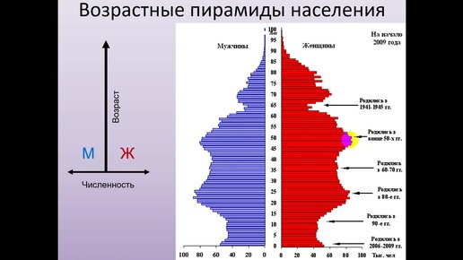 Половозрастной состав населения дальнего востока