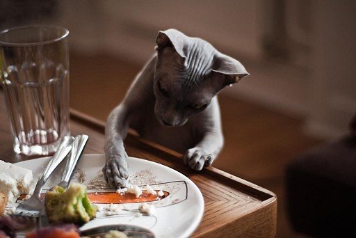 Из интернета