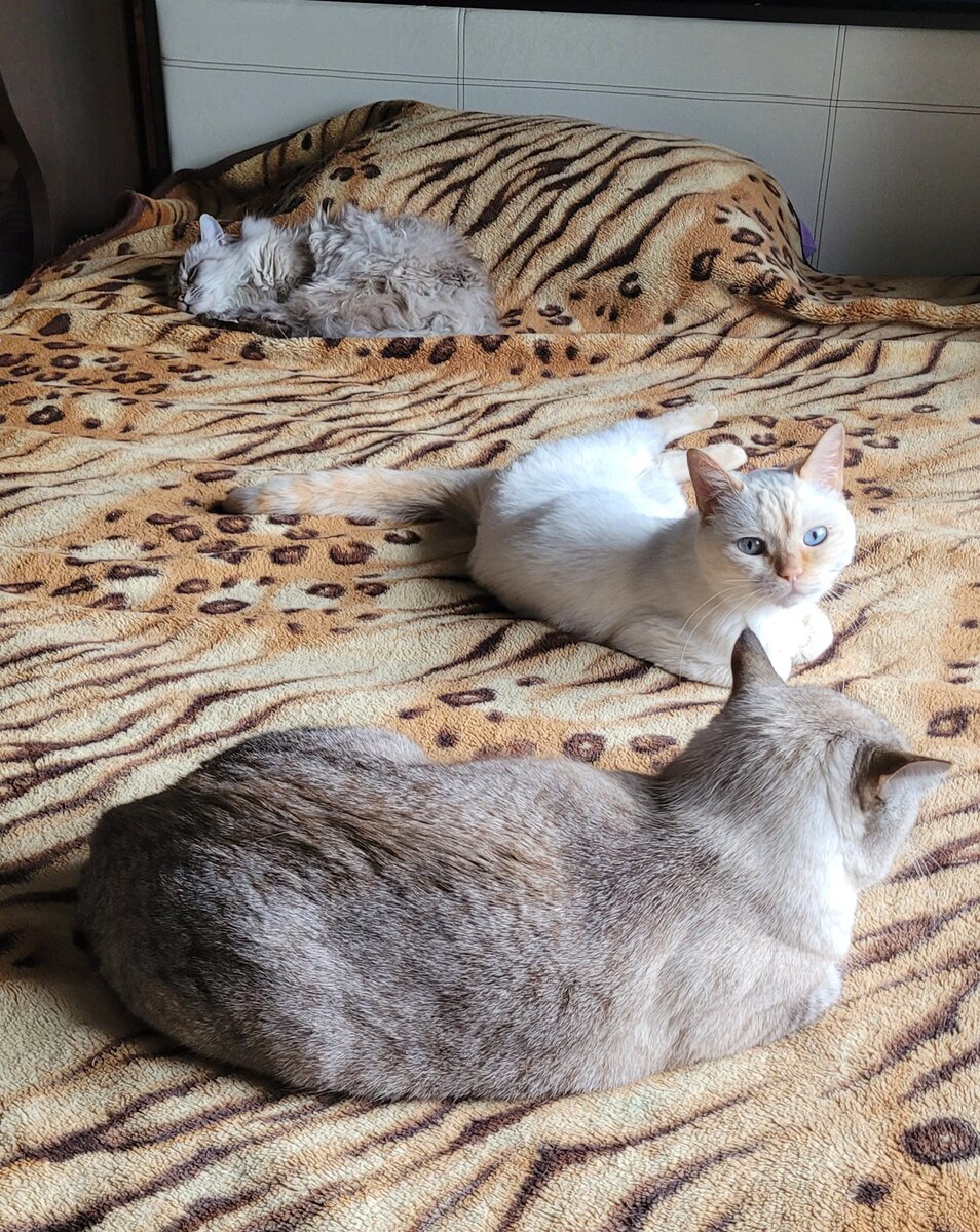 Солнце где?!