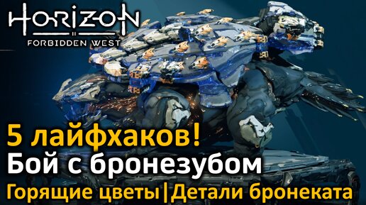 Horizon Forbidden West | Бой с бронезубом | 5 лайфхаков | #1 Горящие цветы | #2 Детали бронеката