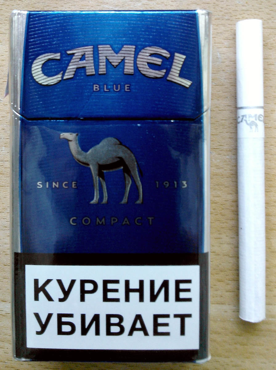 Кэмел компакт пачка. Сигареты кэмел компакт синий. Camel сигареты синие компакт. Camel Compact Blue 100. Сигареты кэиэл компакт.