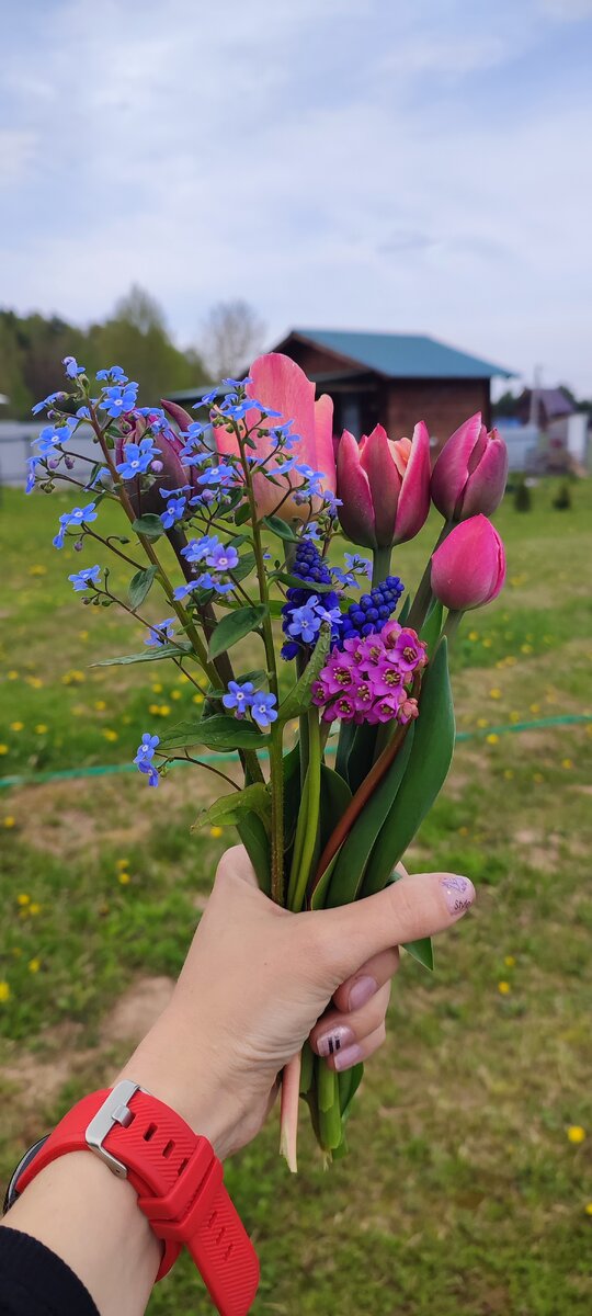 Букет первоцветов