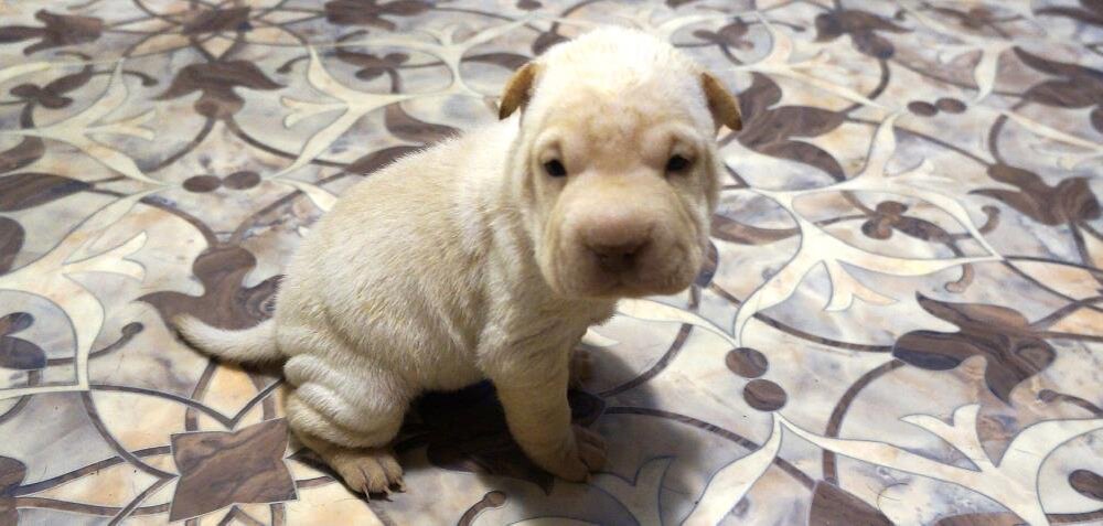 на себя посмотри 