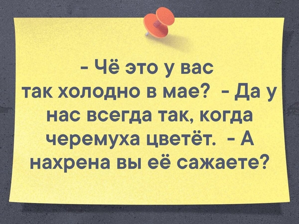 Что у вас так холодно в мае черемуха цветет