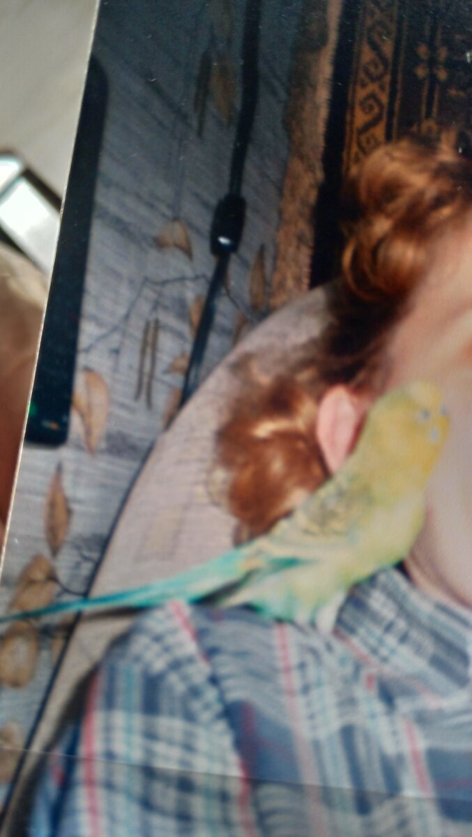 Первый гипертонический криз. Лицо оплыло, поэтому не стала вас пугать. А это наш Яша-Шеф. 