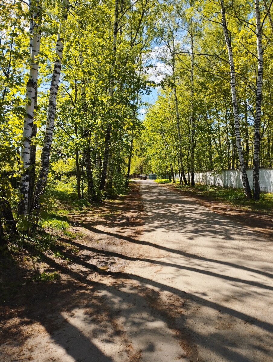 Обожаю прогулки в теплую солнечную погоду))