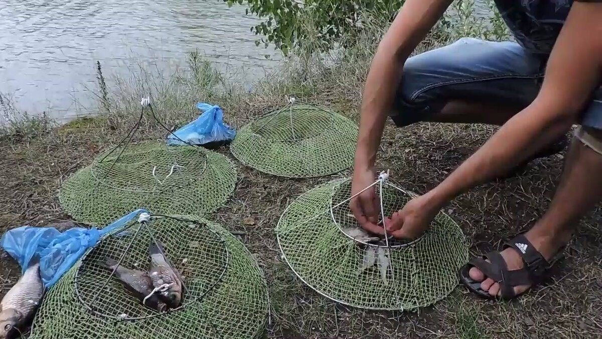 Какая раколовка самая уловистая