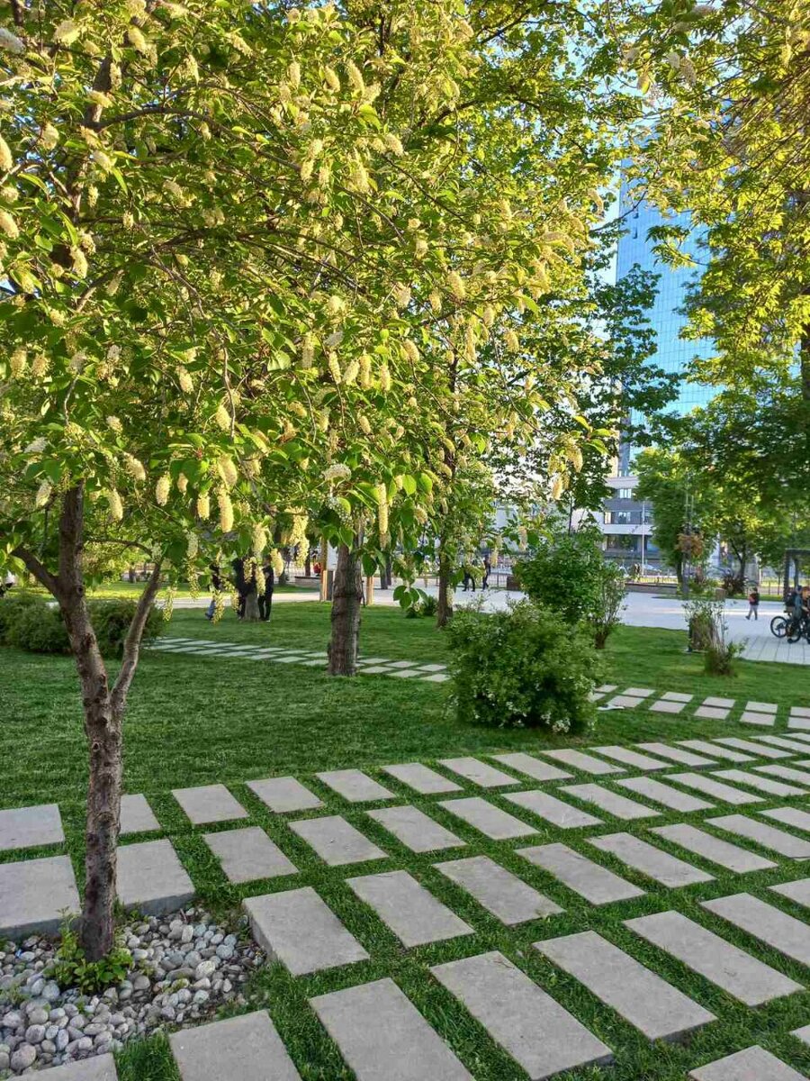 Фото автора.