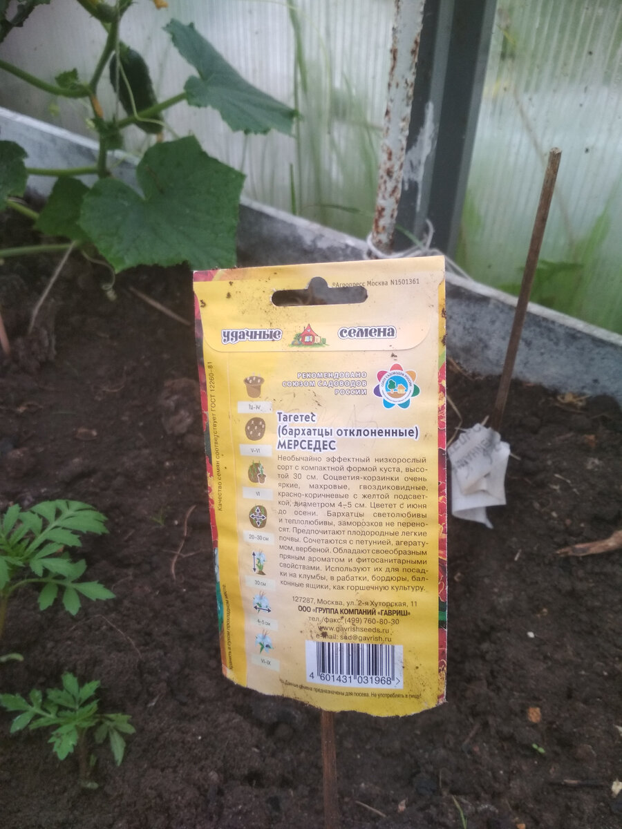 Вполне грамотная инструкция