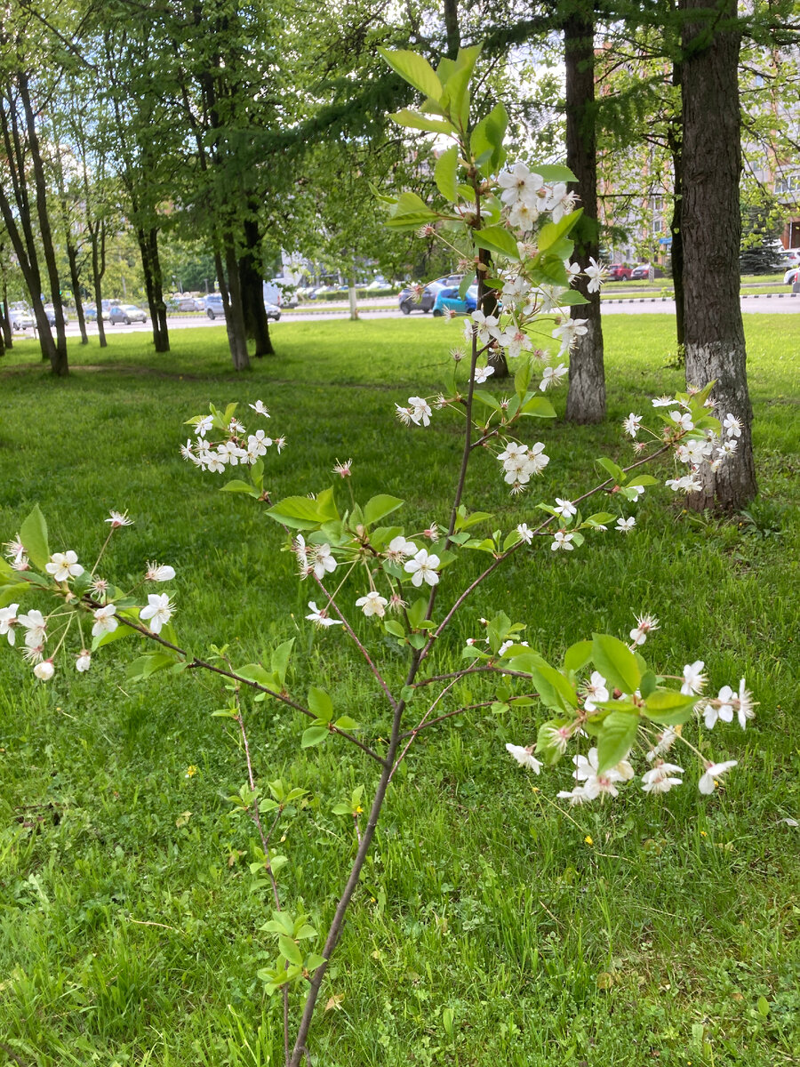 Фото из личного архива автора. 