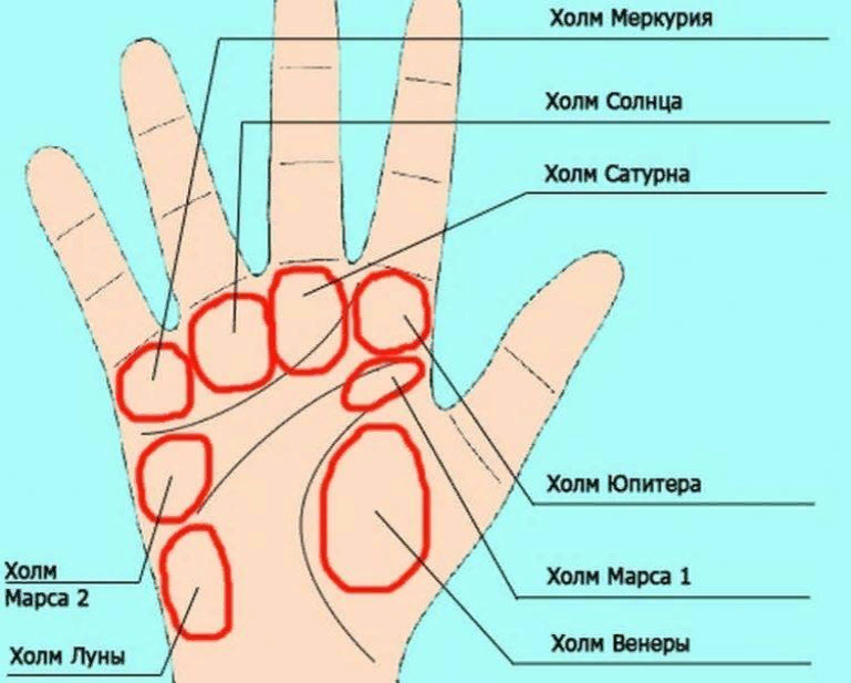 Определить человека по руке. Холмы на ладони хиромантия. Холм Меркурия на руке. Холм Венеры на ладони. Название холмов на руке.