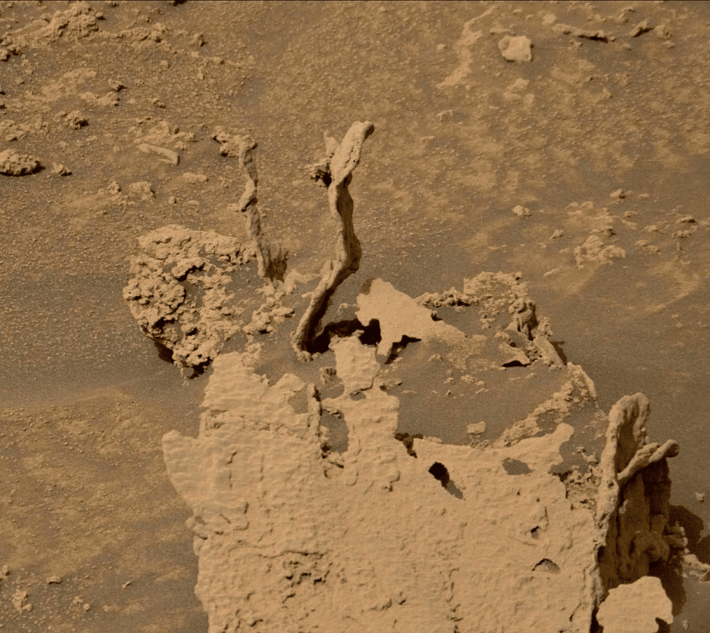    ©NASA