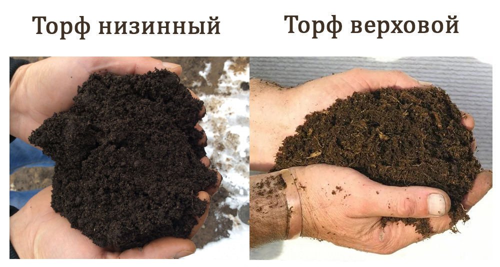 Можно купить чернозем, но в нем не будет расти даже трава. Что нужно проверить перед покупкой1