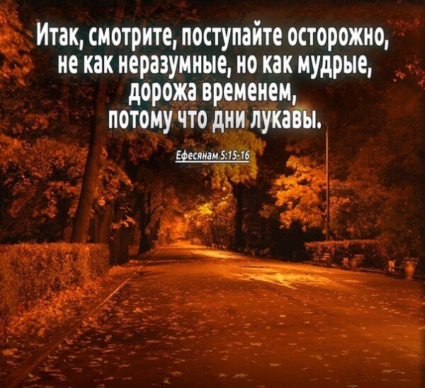 Источник: Яндекс. Картинки