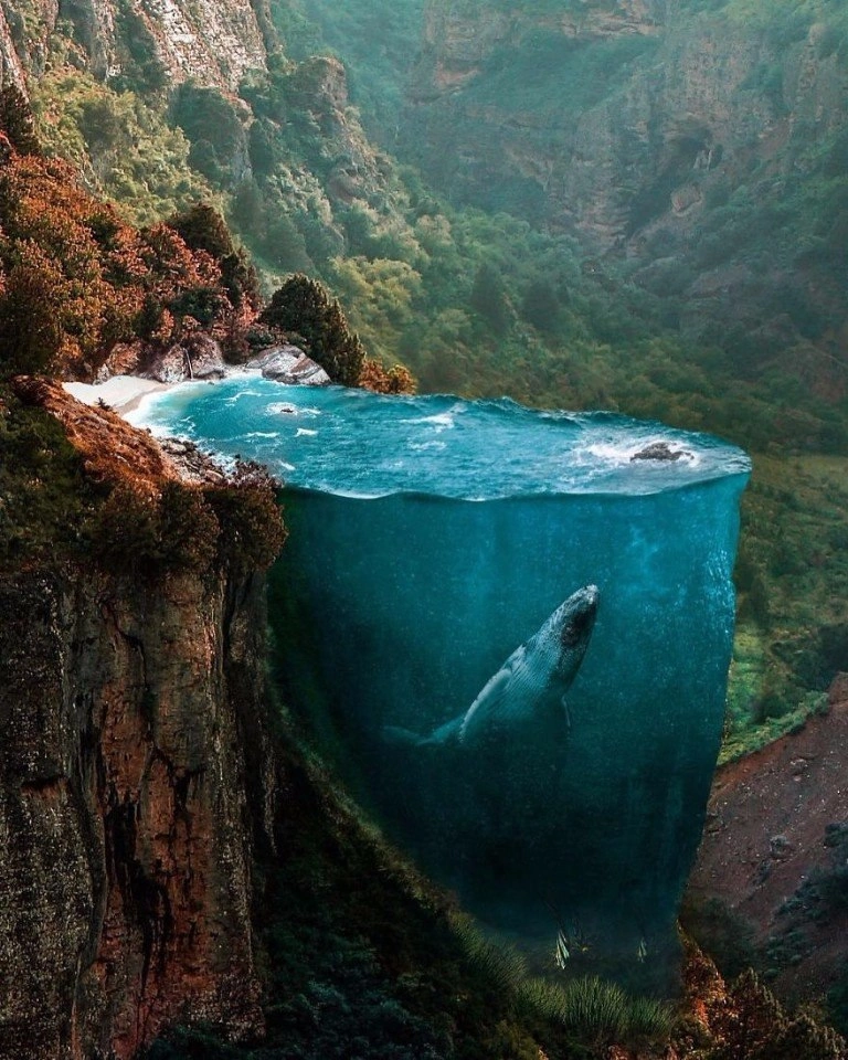 Автор — турецкий фотограф Hüseyin Sahin