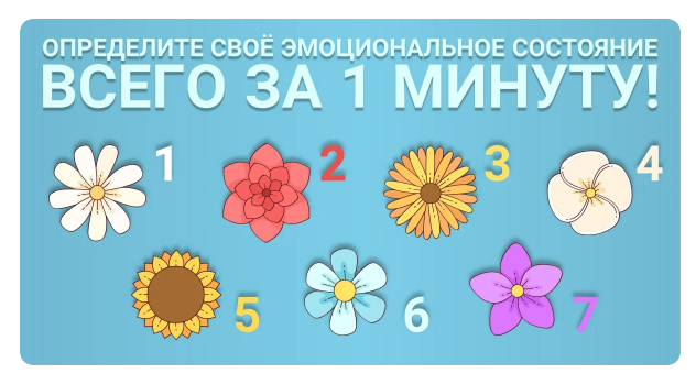 Изображение взято с открытых источников