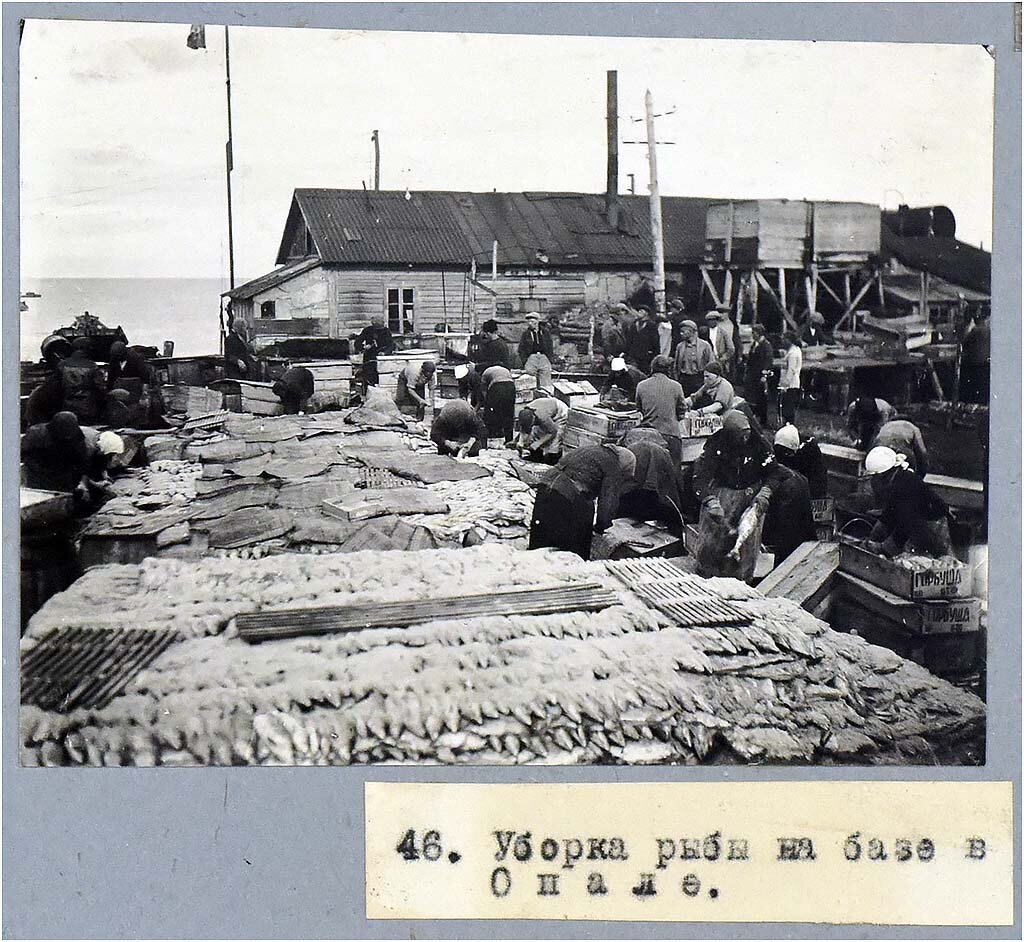 Камчатская комплексная экспедиция НКПП СССР и АН СССР по обследованию Камчатки (ГАКК 541-1-130)