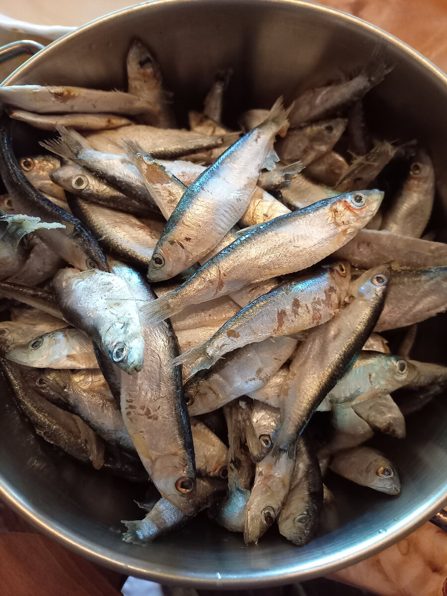 Здесь и далее - фотографии и видео автора канала "Ладно"