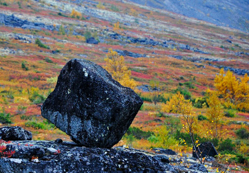 Сейд. Фото из Интернета.