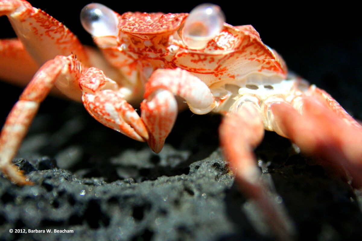 Фото взято из интернета