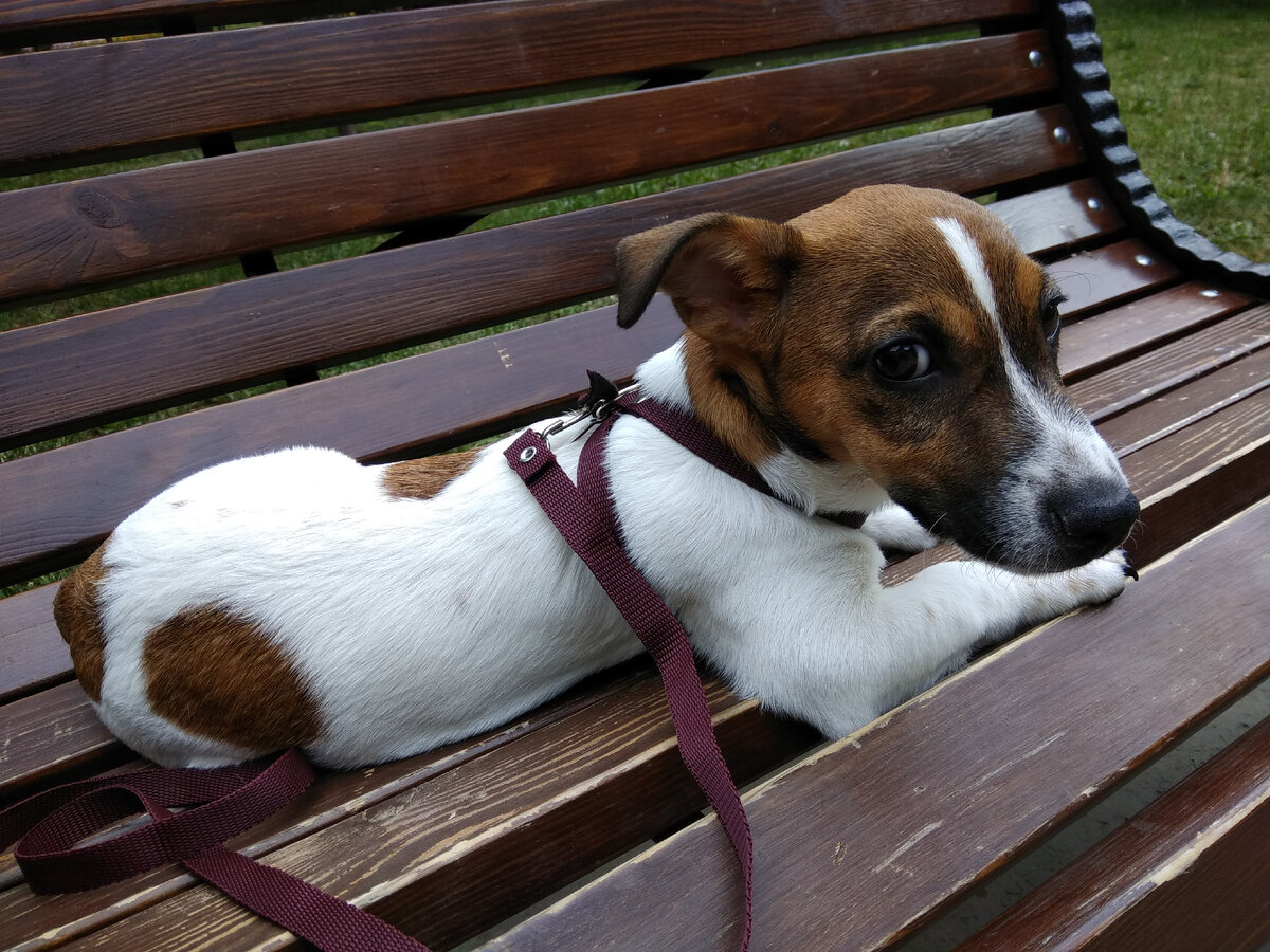 Попробуй ей в чем-нибудь отказать!