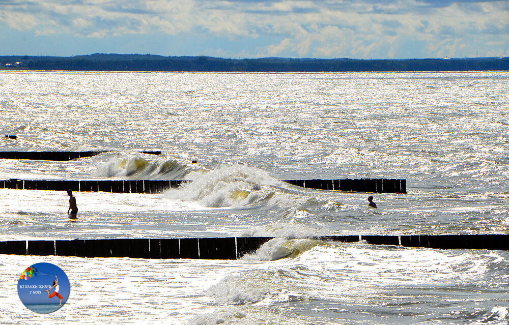 Берег Балтийского моря в Зеленоградске. Фото автора