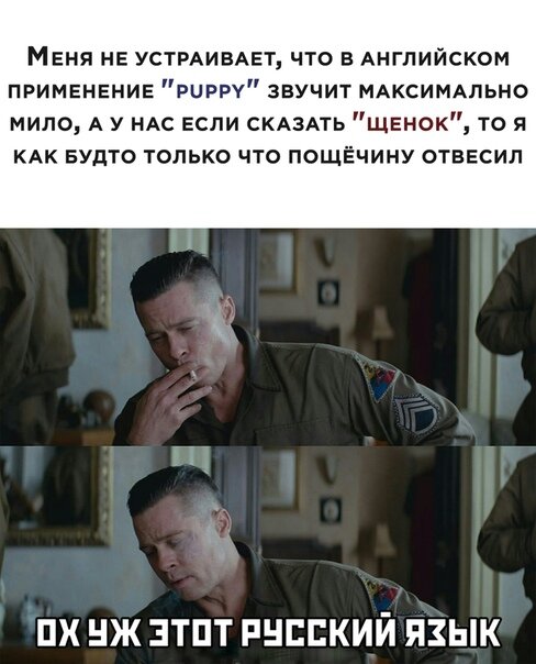 Фото: Яндекс Картинки  
