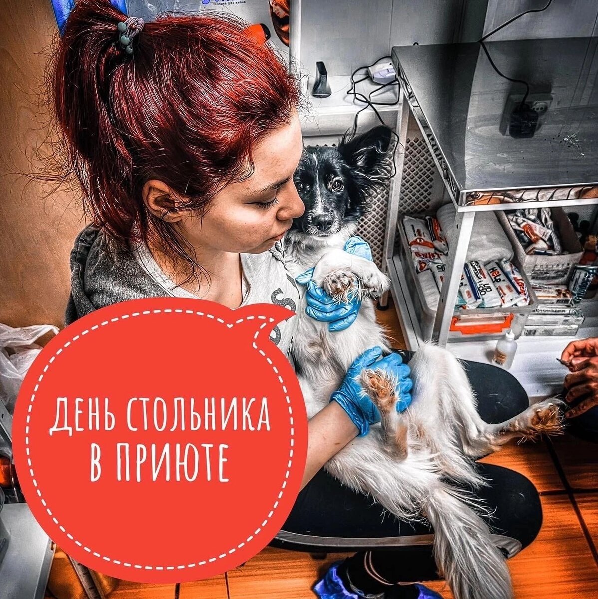 мы не справляемся 