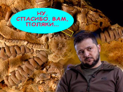 Подписывайтесь на наш канал "Нарполит" и не упустите свежие политические тренды!