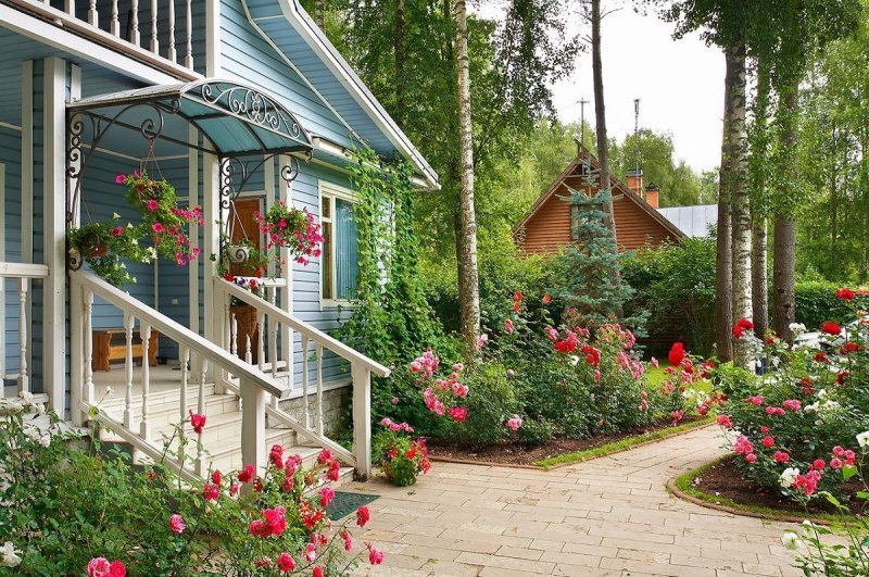 🌳🌳🌳листайте➡