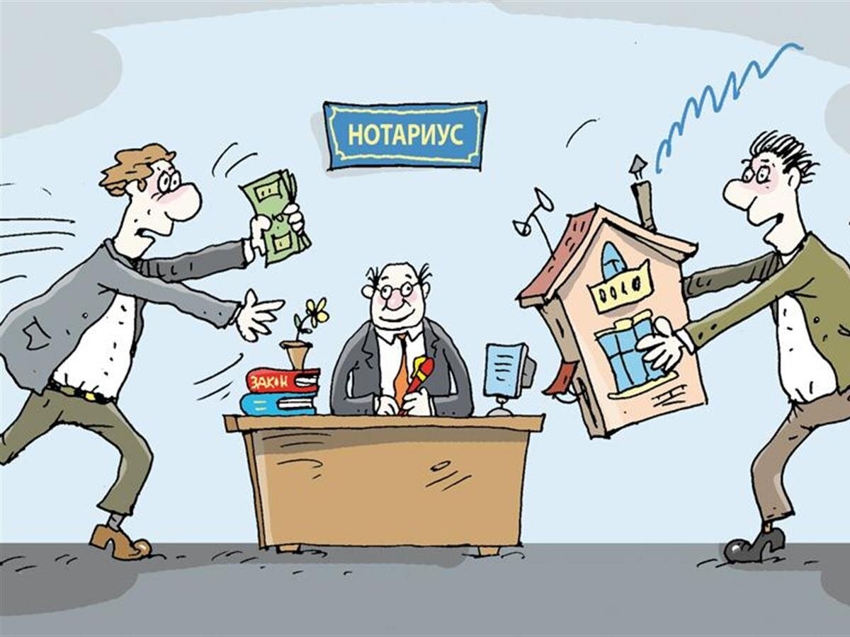 Яндекс картинки 