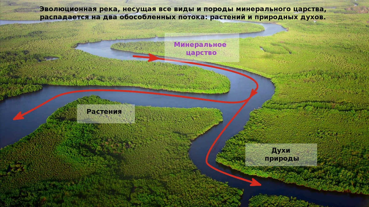 Черниговская земля природные условия. Земля натуральная. Натуральная форма земли. Ферральсоли почва природа Гаити.