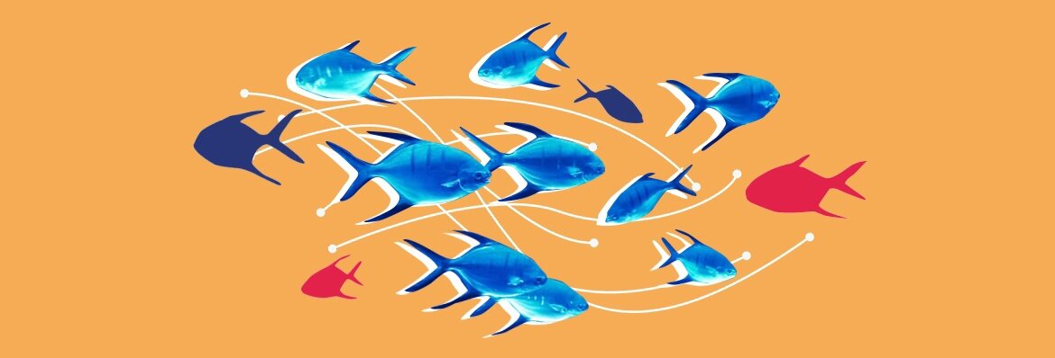 Как превратить ваш талант в профессионализм? Методология Высшей Школы Психологии и Маркетинга