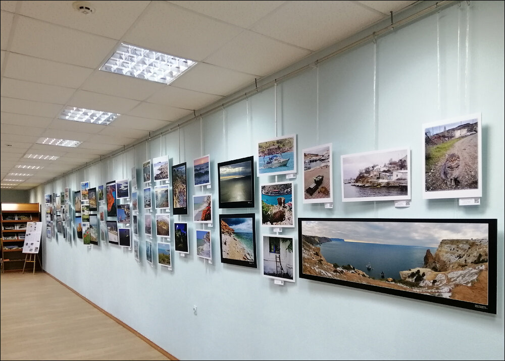 Выставка художников. Необычное открытие выставки. Выставка москва из севастопольского. Выставка севастополь архив. Севастополь выставка зимний день.