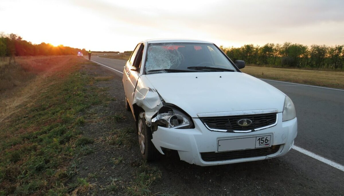  📷    В Оренбуржье на трассе водитель Лады сбил пешехода. Мужчина скончался Марина Шарт