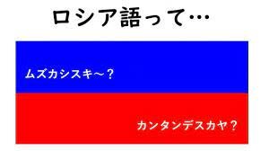 Источник: https://encrypted-tbn0.gstatic.com/images?q=tbn:ANd9GcRjIyYTl2zov7GaB59_tZSSxKfQjNaSpeSBG2s1AyIRejq8d2BOpRcQnMOhFnuvMsm0eN0&usqp=CAU