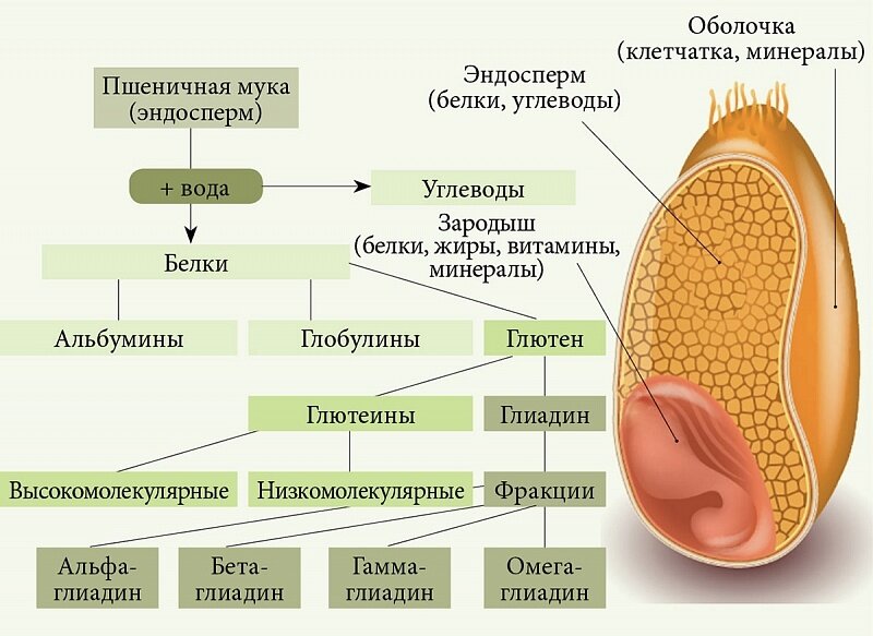 Стоит ли заменять муку на цельнозерновую или рисовую?
Давайте сначала разберемся, в чем же отличия.