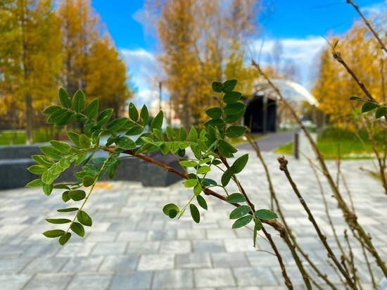     Фото: vk.com Марина Трескова