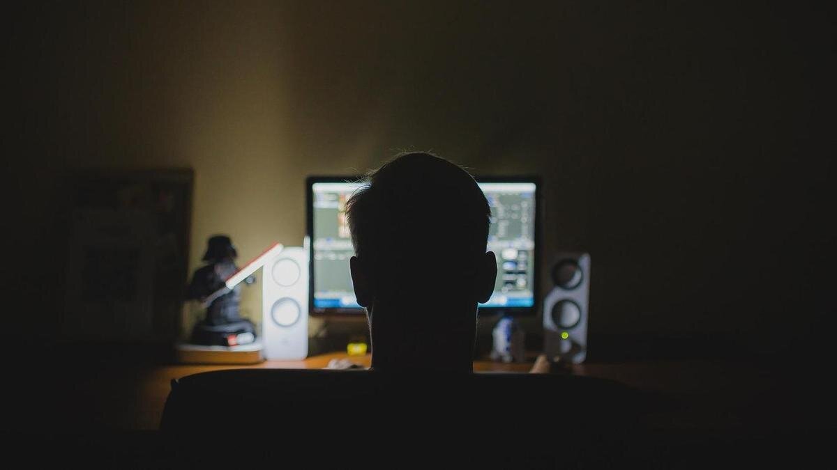    Мужчина сидит спиной за компьютером:pixabay.com