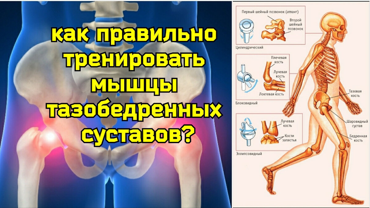 Как правильно выбрать массаж и упражнения для тазобедренных суставов? |  Причины Здоровья | Дзен