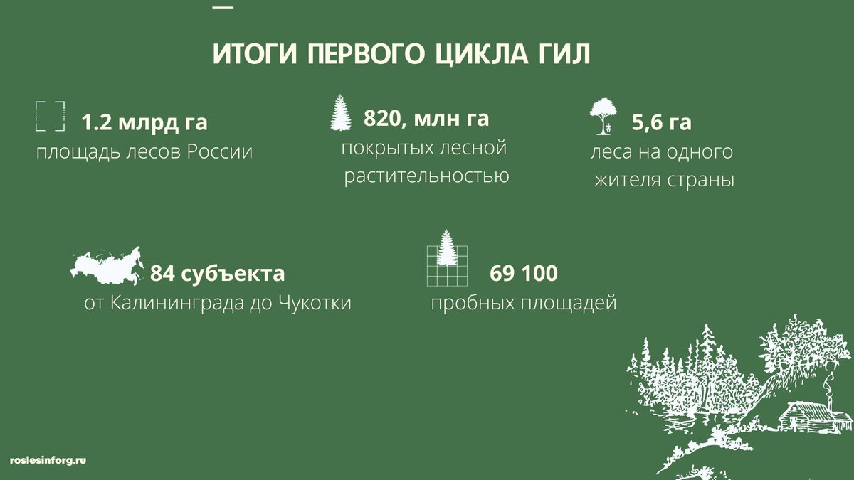 Государственная инвентаризация лесов. Зачем наводить в лесу порядок? |  Рослесинфорг | Дзен