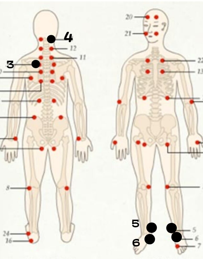 6 точка у человека
