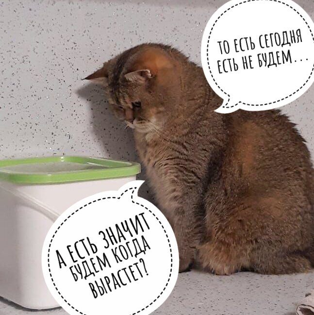 А нет, показалось! 