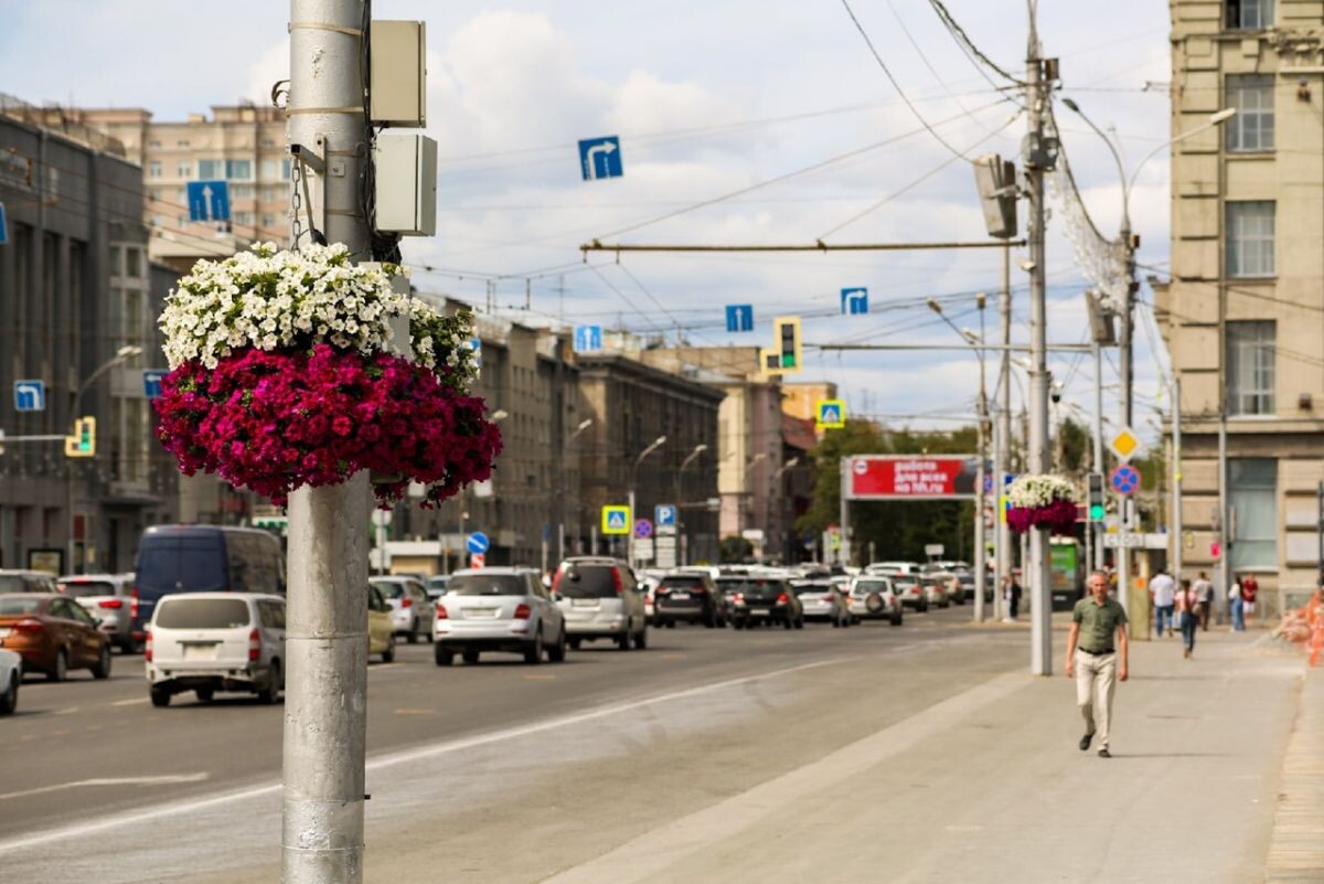    Новосибирская область попала на 1 место среди благополучных регионов СФО