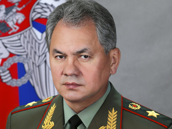     Сергей Шойгу. Фото: Wikipedia.org.