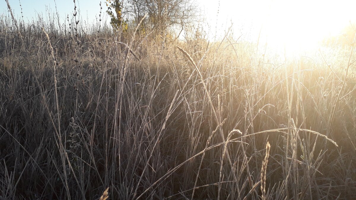 Солнце глаза слепит