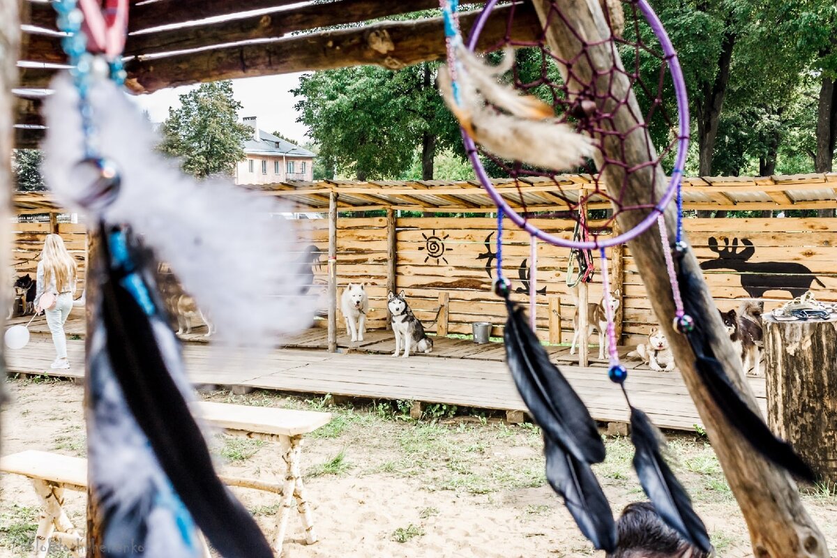 Дом хаски 33