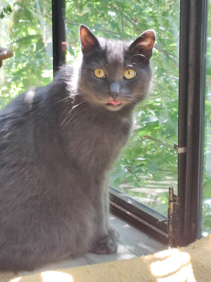 ЛЕТНИЕ ФОТКИ ГРЕЯ - ЯЗЫК ВСЕМ ПОКАЗАЛ