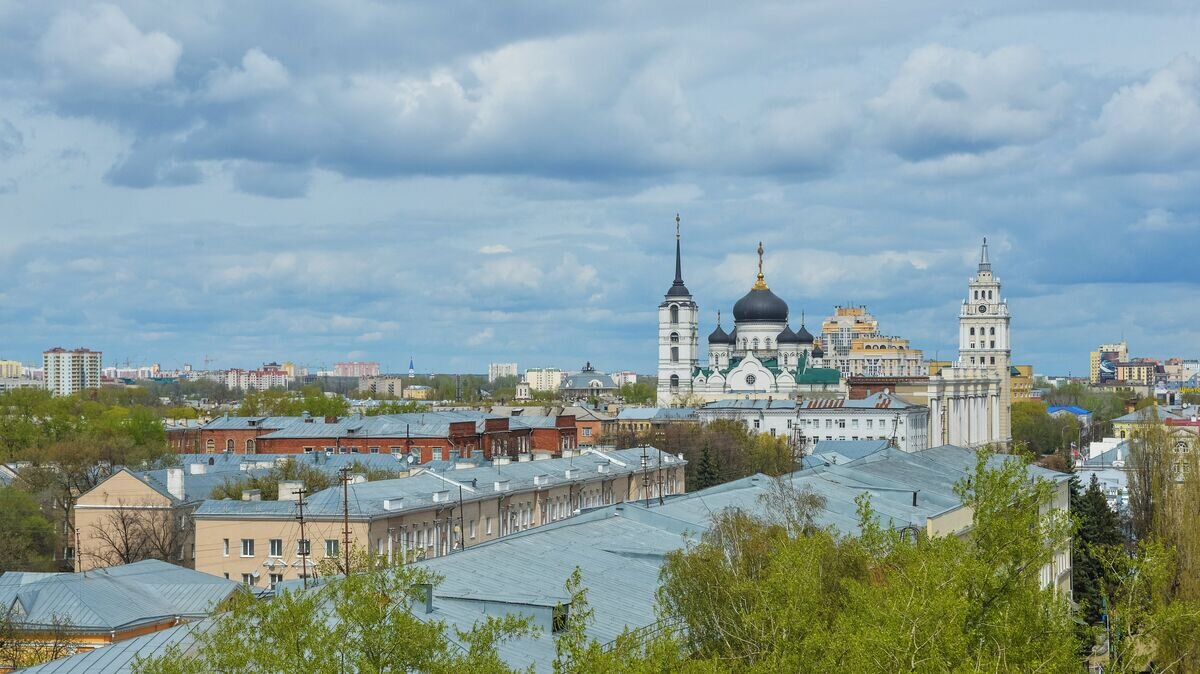    Вид на центральную часть города Воронеж© РИА Новости / Ульяна Соловьева