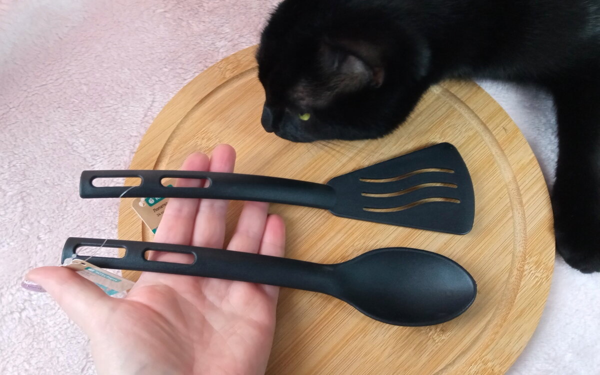 Сэмка смотрит мимо, там Тимыч